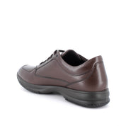 Sneakers Enval Uomo - Marrone