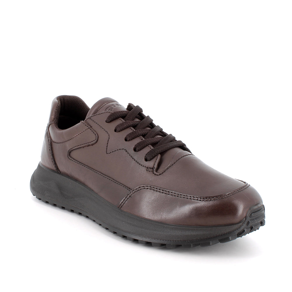 Scarpa Casual Igi&Co Urs 6 Uomo - Marrone