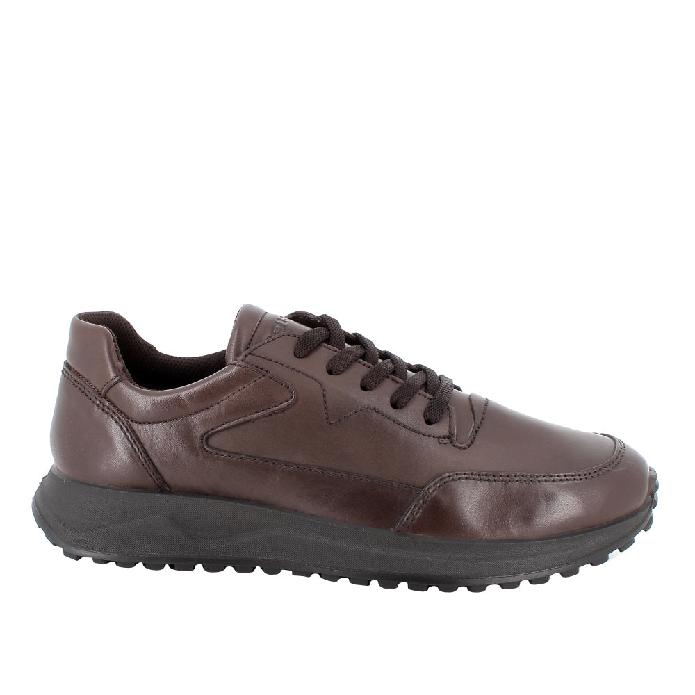 Scarpa Casual Igi&Co Urs 6 Uomo - Marrone