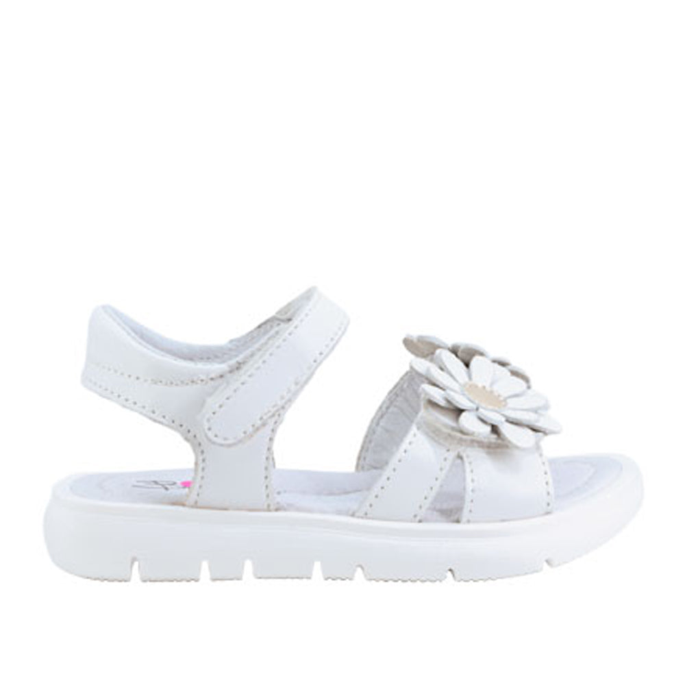520001-balocchi-151430bianco.jpg