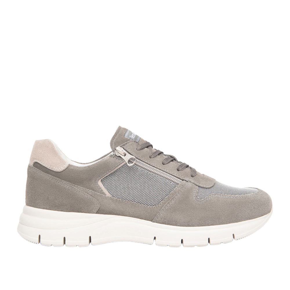 Sneakers NeroGiardini Uomo - Grigio