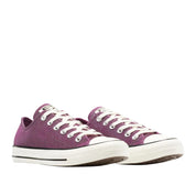 Sneakers Converse Ctas ox Donna - Prugna