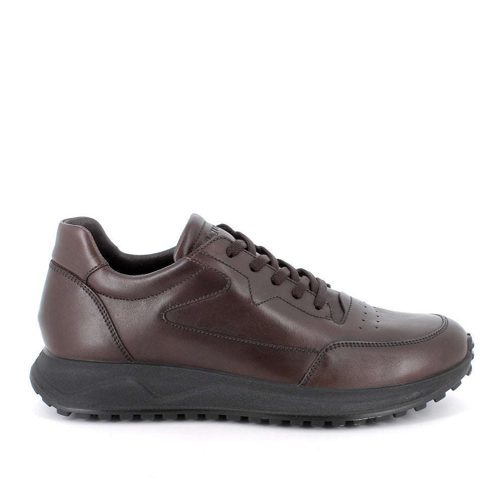 Sneakers Igi&Co Uomo - Marrone