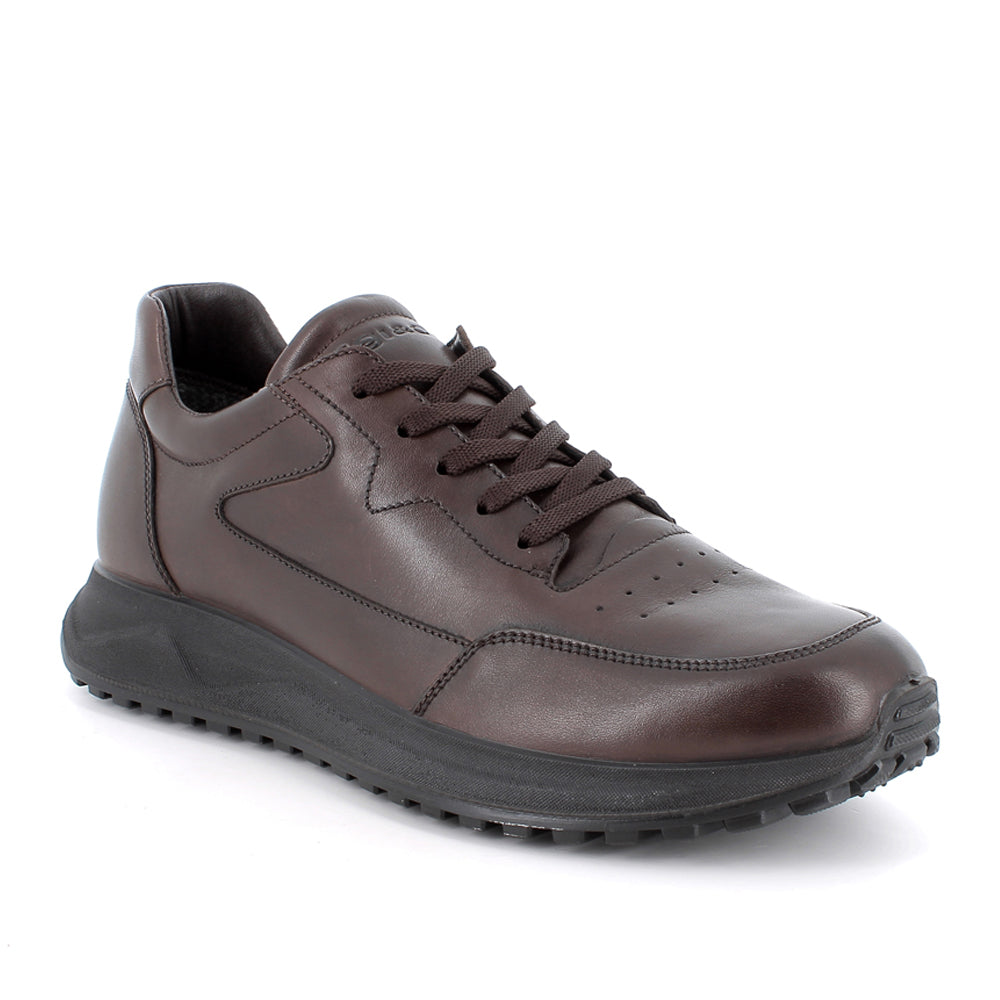 Sneakers Igi&Co Uomo - Marrone