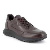 Sneakers Igi&Co Uomo - Marrone