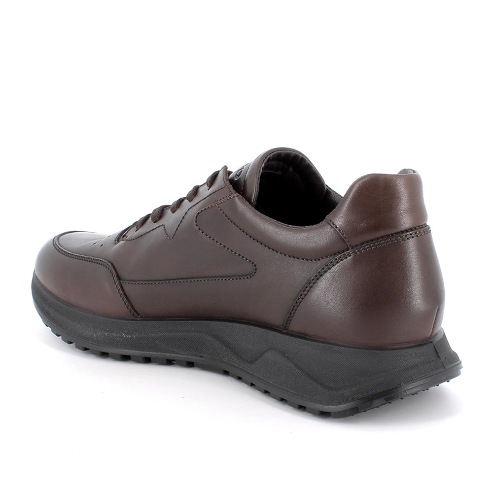 Sneakers Igi&Co Uomo - Marrone
