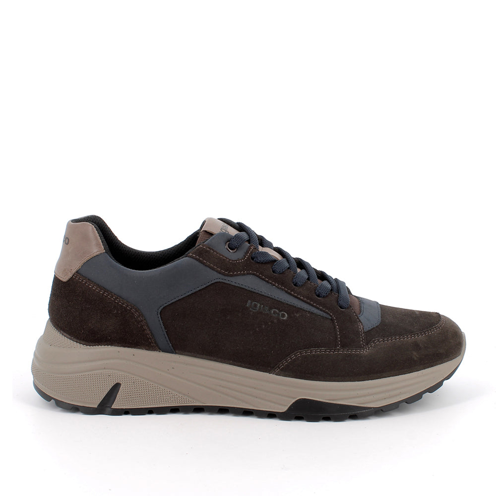 Sneakers Igi&Co Uomo - Marrone