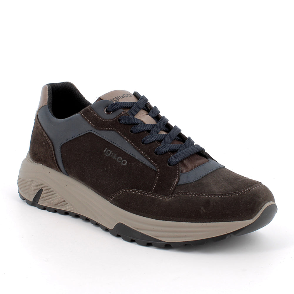 Sneakers Igi&Co Uomo - Marrone