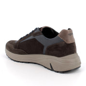 Sneakers Igi&Co Uomo - Marrone