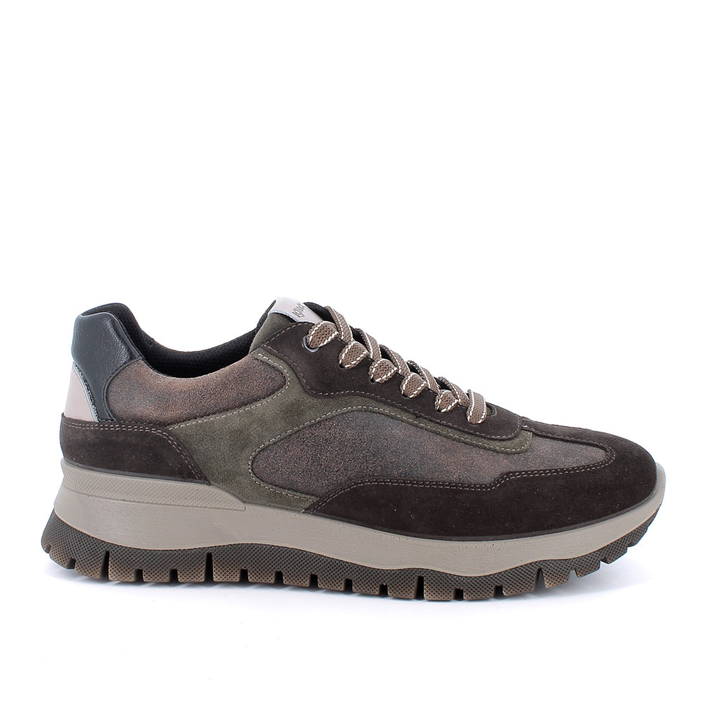 Sneakers Igi&Co Uomo - Marrone