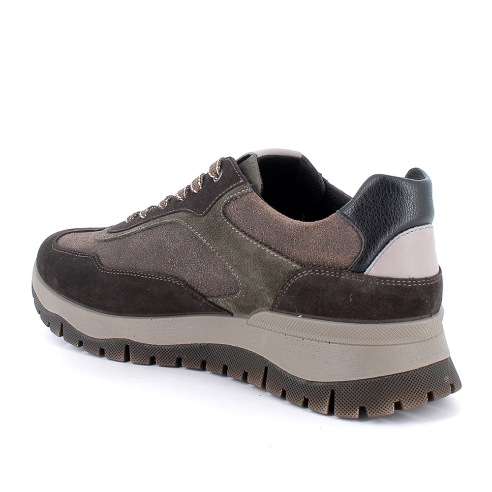 Sneakers Igi&Co Uomo - Marrone