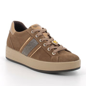 Sneakers Igi&Co Donna - Marrone