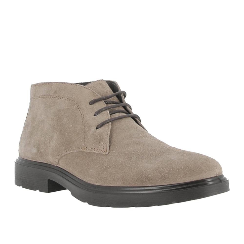 Polacco Imac Uomo - Marrone