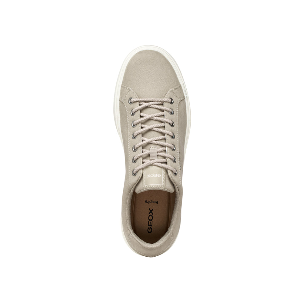 Sneakers Geox Baltmoore Uomo - Beige