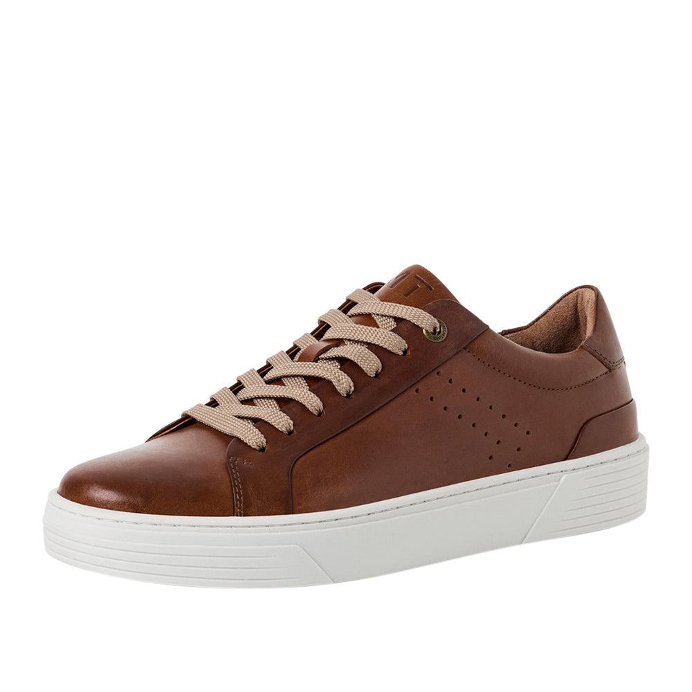 Sneakers Marco Tozzi Uomo - Marrone