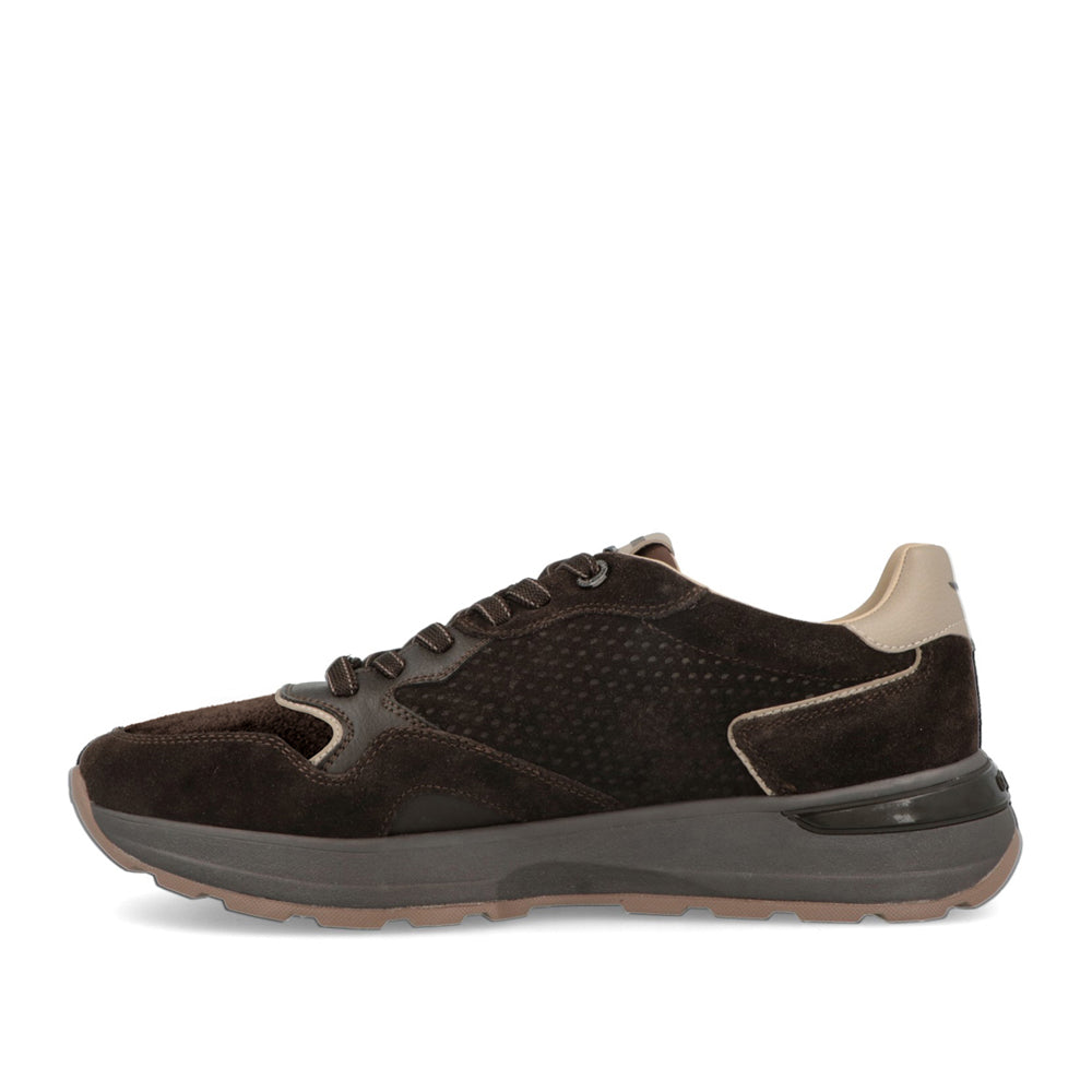 Sneakers Guardiani Levante Suede Uomo - Marrone